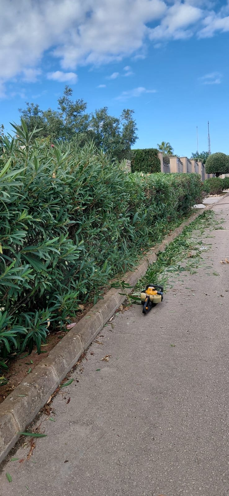 lamine-muller-jardineria-mallorca-2