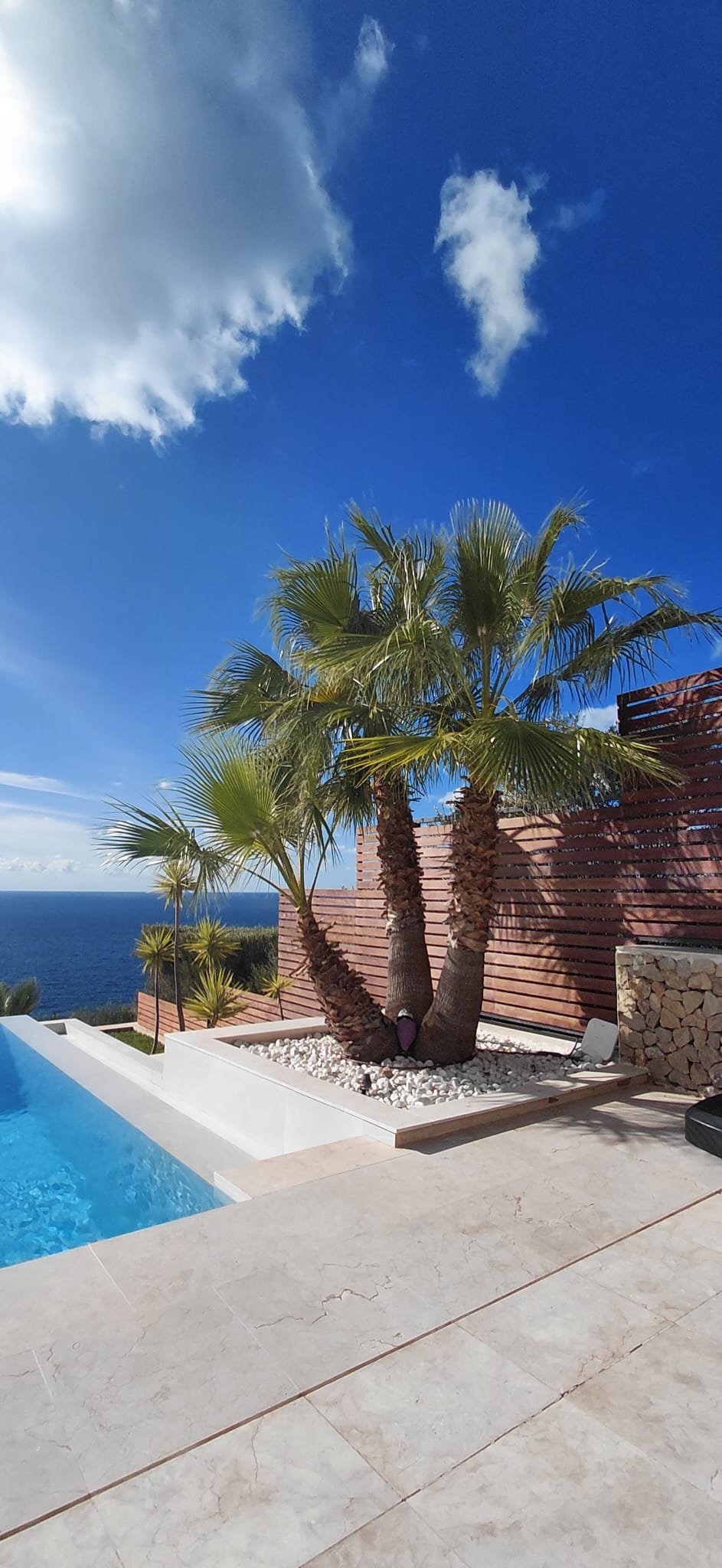 lamine-muller-jardineria-mallorca-4