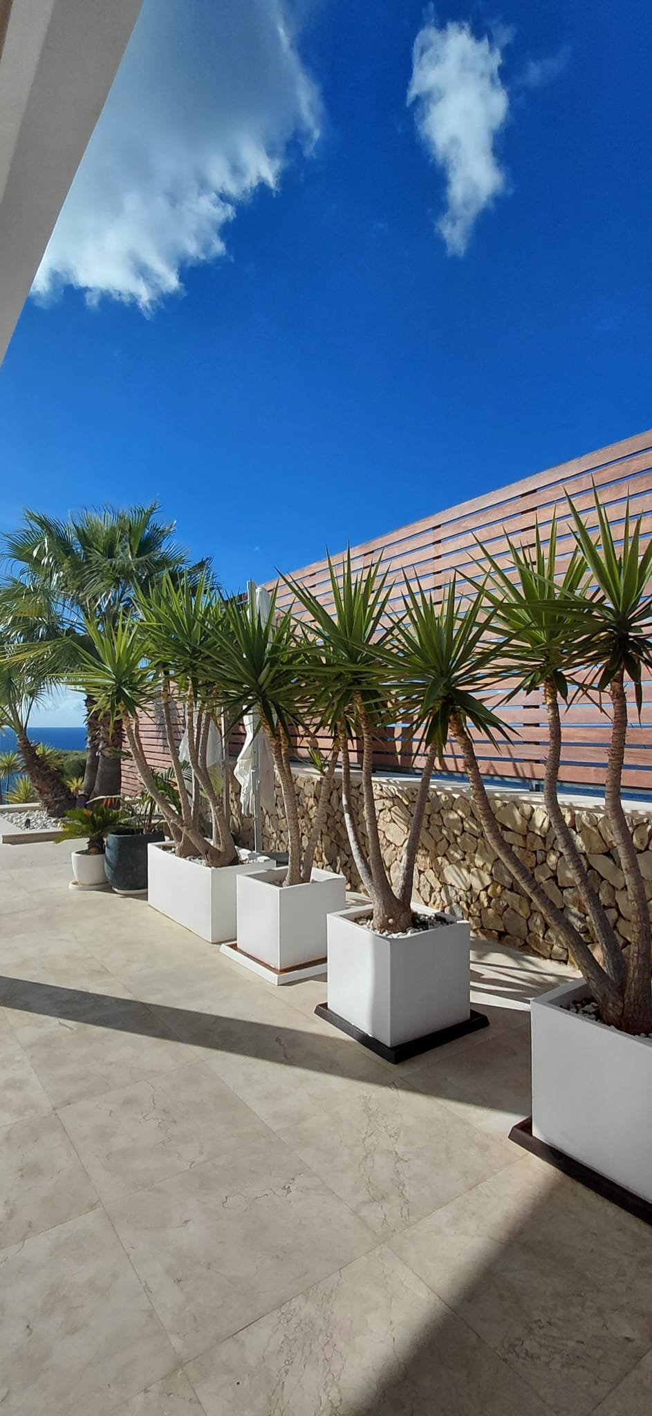 lamine-muller-jardineria-mallorca-5