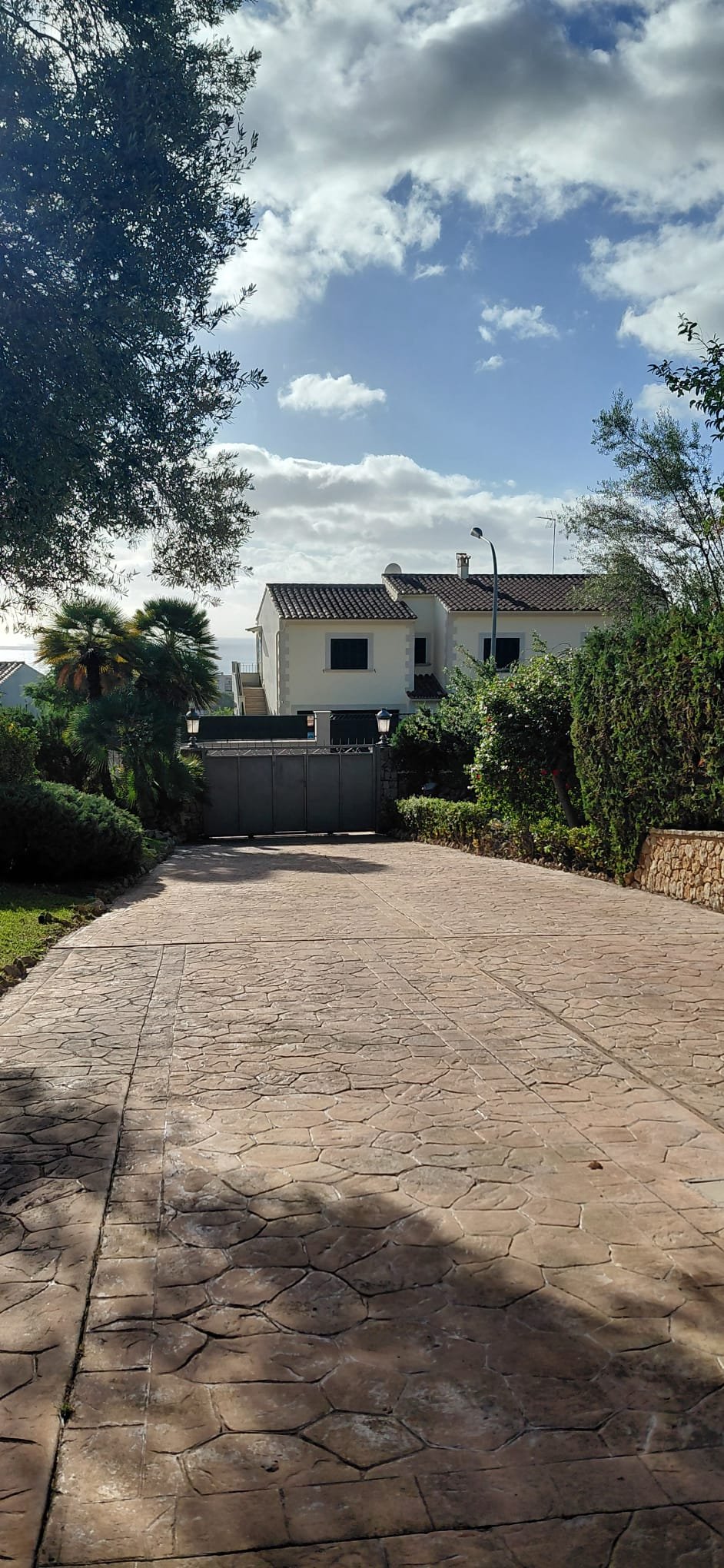 lamine-muller-jardineria-mallorca-7